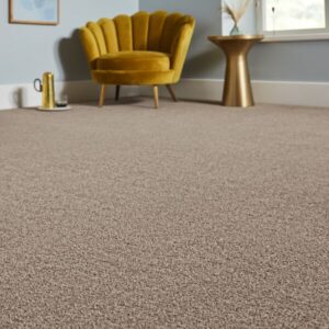 browse_carpet-1-1-1